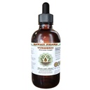 Hawaii Pharm Turmeric Alcohol-Free Liquid Extract, Professional Grade, Small Batch Crafted Turmeric (Curcuma Longa) Dried Rhizome Glycerite Natural Herbal Supplement, 2 fl.oz
