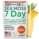 Atlantic Naturals Morje Moss 7 dan Razstrupljanje jeter, žolčnik in ledvice čiščenje - podpora z vrtni koren, Mlečni osat, koren Burdock, rdeča Clover, Chanca Piedra - Ananapple aroma pijača Mix (14 oz)
