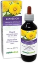 Naturalma Dandelion (Taraxacum officinale) Korenine in zelišča brez alkohola Tinktura - 6.76 fl oz Tekoči ekstrakt v kapljice - Zeliščni dodatek - Vegan