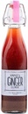 Annie's Ginger Elixir, 17oz 1-Pack, Pure Natural Organic Tonic Ginger Shot, Prebavna čistila krepi imunski obrambni, Daily Gut Zdravje in Wellness, Non-GMO Beverage