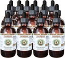 Tekoči ekstrakt brez alkohola Valerian (Valeriana Officinalis) Suhi koren Glicerit Naravni zeliščni dodatek, Havaji Pharm, ZDA 15x4 fl.oz