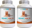 Dog Bladder podpora - Dog urinarno zdravje Formula - Pomaga z inkontinenco in Bladder vprašanja - Imune Boost - Dog Cranberry dodatek žvečenje - 2 steklenice (180 Zdravljenja)