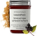 Dr. Sebi Inspired Alkaline Organic Fresh Elderberry Ginger Sea Moss Gel - Naravni Esencialni vitamini, Minerali Plus Antioksidanti Wild Obdelan iz svete Lucije (8 oz.)