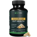 Gut Health Supplement Coreboost z Ashwagandha, Carom Semena, Kurmeric - Prebiotiki in probiotiki za ženske in moške - 2 milijard CFU-najbolje za digestivno zdravje, napihnjenost, zmanjšanje plina