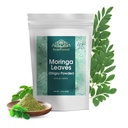 Moringa Leaves Powder Oleifera Leaf Shigru Super v pijači in smoothies 16 Ounce