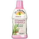 Lily of the Desert Stomach Formula, Organic Aloe Vera Juice s slippery Elm, Kamilica, Peppermint, in Ginger za Gut Health, Kisli Reflux, Zgaga Relief, 32 Oz