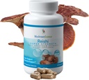 Kapsule goba vrste GobaScience Reishi, izvleček polnega spektra super moči, dodatek k naravnim gobam za odrasle, toplo vodo, pridobljene gobe, zdravstvena podpora, vegetarijanec, 400MG, 90 CT