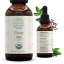 Herbera Clove B60 USDA Organska tinktura 