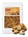 (8oz) Pečena kraljica Jeruzalem Artichoke Helianthus Tuberosus Bogat inulin polifenolni dietar Fibe 
