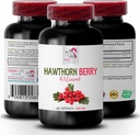 antioksidant dodatek za ženske - HAWTHORN BERRIES EXTRACT - dodatek izvlečka hawthorn, dodatek iz jagod, antioksidant jagode, energija iz divje jagode, tablete energije iz hawthorn za žensko 1 Bot 60 kapsule