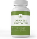 Čiste izvirne sestavine japonski Knotweed, (100 kapsul) vedno čist, brez dodatkov ali polnila, laboratorij preverjen