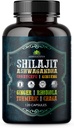 Shilajit za moške – 8-v-1 Adaptogeni dodatek z Ashwagandha, Cordyceps, Ginseng, Rhodiola, Kurmeric, Chaga & Ginger – naravna energija, Stress Relief & Imunska podpora – 120 Veganske kapsule