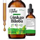 Wild & Organic Ginkgo Biloba Tinkture - Brain & Fokus Podpora z Ginkgo Leaf dodatek - Vegan, Sladkor & Alkohol brez zeliščnega ekstrakta Tinkture - 2 fl oz