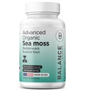 Organski irski morski moss, Bladderwrack & Burdock Root dodatek 1405mg, 60 Veg kapsule - Imunski poživilo, Gut Health, Skin Detox & Skupna podpora (60 Število (Pack of 1))
