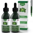 Klorofil Tekoči kapljici - 100% naravni energijski ojačevalec in Imunska podpora - notranji deodorant in detox - Nadgradna bolezen Relief - hitra absorpcija, Vegan & Non-GMO - 120 Serving (Pack po 2)