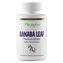 Paradise Zelišča, Banaba Leaf, 12:1 Koncentriran ekstrakt, 250 mg, Vegan, Gluten-free, Non-GMO, 180 kapsul