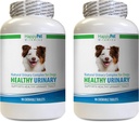 Dog Bladder Supplement - Dog Natural urinarno zdravje kompleks - Full Bladder Zdravje in nadzor - UTI rešitev - Pes brusnični žveči - 2 steklenici (180 Tabs)