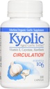Kyolic Aged Česen Extract Zdravje srce Formula 106 - 100 Kapsula