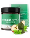 HERBAMA Stinging Nettle Gummies - 7500mg Stinging Nettle Root Extract za urein Tract podporo za ženske in moške - Vegan, Non-GMO Urtica Dioica dodatek - 60 pektin na osnovi Apple-Flavored Chews