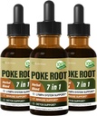 Poke Root Extract Kapljice za podporo limfnega sistema, Limfatični Drainage dodatek za limfedem, 7 v 1 Formula z Goldenseal za podporo imunskega sistema, Dandelion za detox in čiščenje. 6oz
