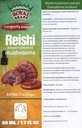 Reishi Goba dopolnilo / Naš Reishi goba ekstrakt spodbuja dolgoživost / Reishi goba Tinktura - 50ml / 1.7 Fl Oz