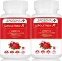 Liposomski urolitin A dodatek 2000MG za energijo 120 kapsul