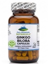Ginkgo Biloba Kapsule – Kosher Vegan Caps z 400mg Ginkgo Biloba List in Ginko Extract dodatek