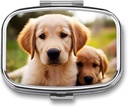Pill Box 2 Compartment Square Pill Organizator vsak dan majhne tablete Primer za potovanje Cute Golden Prinašalec Puppy Metal Pill Container Prenosni Medicine Organizator za tablete Vitamini Ribje olje dodatek
