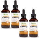 Maxx Herb Astragalus Root Extract - Max Jakost tekoče tinkture absorbcije bolje kot kapsule ali prašek, za imuno podporo in mentalno jasnost - 4 steklenice, 4 Oz vsak (240 Serving)