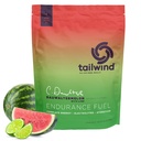 Tailwind Nutrition Endurance Fuel, ogljikovi hidrati in elektrolit Športna pijača Mix prašek, Gluten-free, Vegan, Dauwaltermelon, 50 Serving
