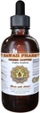 Tekoči ekstrakt zelene kave, zelena kava (Coffea Arabica) Bean Powder Tinkture dodatek 4 oz