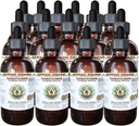 Cordyceps Tekoči ekstrakt brez alkohola, Cordyceps (Cordyceps Sinensis) Glicerit Havaji Pharm naravni zeliščni dodatek 15x4 oz