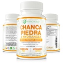 Max Strength Chanca Piedra, Hydrangea & Dandelion Root - naravna ledvica & žolčnik Formula - kamen Breaker, Flush nečistoče, čiščenje urina Tract - Izboljšana z BioPerine. 60 Veggie Kapsule.