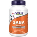 NOW Food Supplements, GABA (gama-aminomaslena kislina) 500 mg + B-6, naravni nevrotransmiter*, 100 Veg kapsule