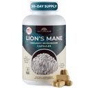 Naturealm Lions Mane Gobe dodatek - Organic Brain Support for Focus Memory Duševna jasnost - Kognitivna funkcija ne gensko spremenjenih organizmov - 90 vegetarijanske kapsule