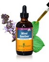 Herb Pharm Mind Soother: Sveti Bazilij: Liquid Kava dopolnilo za podporo mir in sprostitev, Stabilizacija podpora za živčevje, izdelano z noble Kava & sivka cvet, Vegan, Gluten-free, 4 oz*