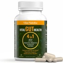 Vital Gut Health 4in1 Formula z Apple Cider Vinegar, Prebiotics & Probiotics, Digestive Enzymes za močno podporo imunitete in Popolno Gut in Digestion Podpora