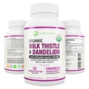 Maksimalna absorpcija USDA Organsko mleko Thistle Potent 5:1 Koncentriran ekstrakt (2000 mg Jakost) & Organski Dandelion Root 