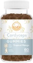 Cordyceps gobe Gumies - maj Podpora energije, vzdržljivost, in Stamina - Tropical Mango Flavor - Vegan, Non-GMO, Gluten-free, želatina brezplačno - 60 Count