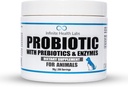 Probiotiki za pse in mačke - Vet Oblikovano v ZDA Pet Prebiotik & Enzyme Prašek za prebavne, Gut & Immune Health - 200 Servings (50 g)
