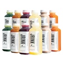 JRINK by Purée Vmesni sok čiščenje, hladno stisnjeno detox pijačo z ekološko 2 dan-zdrava zelenjava in sadni sok, zamrznjena stiskani sok čiščenje, 12 steklenice, 16oz vsak