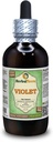 Violet (Viola Yedoensis) Posušen zeliščni tekoči ekstrakt brez alkohola (Brand Name: HerbalTerra, Proudly Made in USA) 4 oz