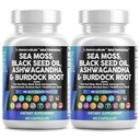 Čisti nutraceuticals Sea Moss Črno seme olje Ashwagandha Kurkuma Bladderwrack Burdock & Vitamin C Vitamin D3 z bezgovo manuko Dandelion rumeno dok jodinovo klorofil ACV - 2Pack