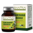 Banyan Botanicals Kanchanar Guggulu tablete – Organski limfni dodatek z Guggulu Resin – spodbuja zdravo izločanje naravnih toksinov* – 90 tablet – ne- GMO trajno pridobljene Vegan
