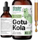 Večno Puppy Gotu Kola kapljice za pse - Gotu Kola Extract & Centella Asiatica za podporo zdravju možganov - Prehranski možganski dodatek za pse vseh pasem in velikosti - 4 oz