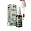 Beelife Propoflex Organic Green Propolis Extract - visoke ravni Artepillin-C, antioksidant-Rich dodatek za splošno Wellness - Natural & Kosher-prijateljski prehranski dodatek - Made In Brazil, 1 Fl. Oz.