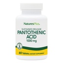 NaturesPlus Pantotenska kislina, trajen izpust - 1000 mg, 60 Tablete - Visokopotezni vitamin B5 dodatek - Vegetarian, Gluten brezplačno - 60 Serving