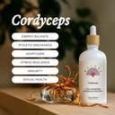 Rainbo - Cordyceps goba Tinktura - Alkohol brez - Dual Extract goba dodatek - Imunska podpora, Energija, Tekoči Cordyceps Dopolnilo, Vegan, Non GSO, 3.4 fl oz