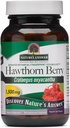 Odgovor narave Hawthorn Berry 