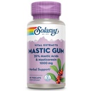 SOLARAY Mastični gumi izvleček 500 mg 45 Število